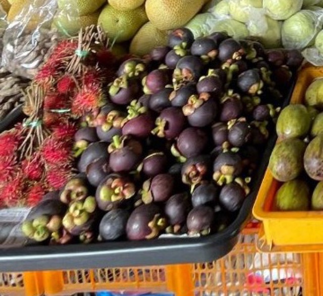 Mangosteen and rambutan