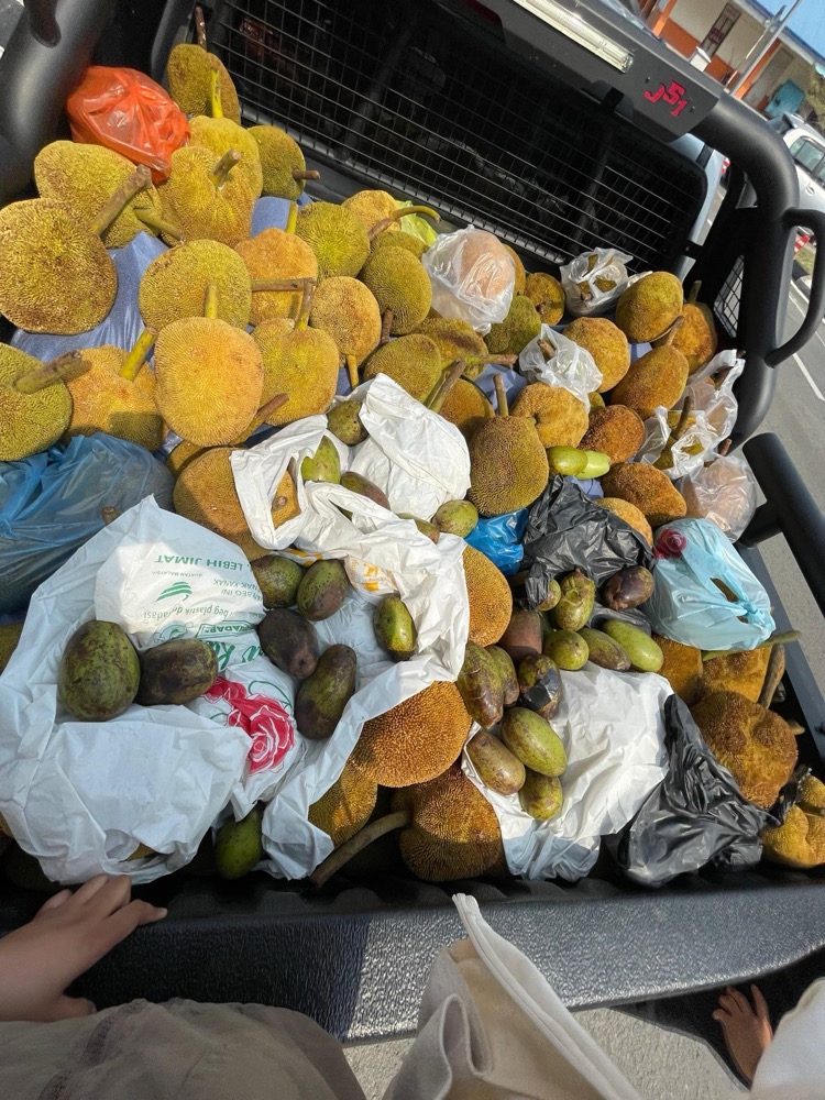 A truck bed full of tarap and avocados, fresh from the mainland